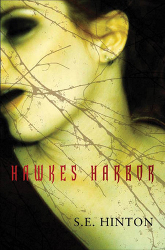 Hawkes Harbor book cover by S. E. Hinton