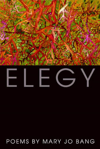 Elegy: Poems book cover by Mary Jo Bang