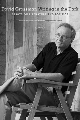 Writing in the Dark: Essays on Literature and Politics book cover by David Grossman