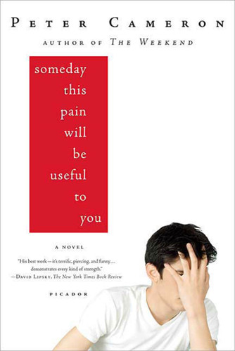Someday This Pain Will Be Useful to You: A Novel book cover by Peter Cameron