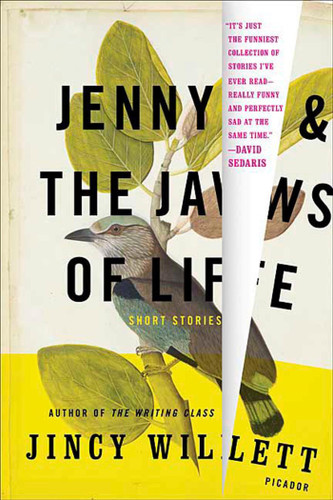 Jenny and the Jaws of Life: Short Stories book cover by Jincy Willett