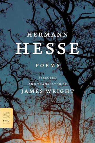 Poems (FSG Classics) book cover by Hermann Hesse