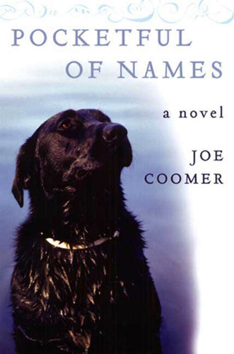 Pocketful of Names: A Novel book cover by Joe Coomer