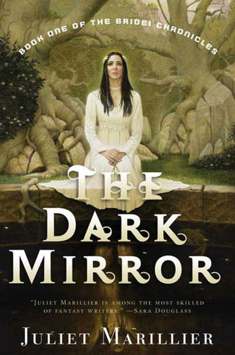 The Dark Mirror: Book One of the Bridei Chronicles (Bridei Chronicles #1) book cover by Juliet Marillier