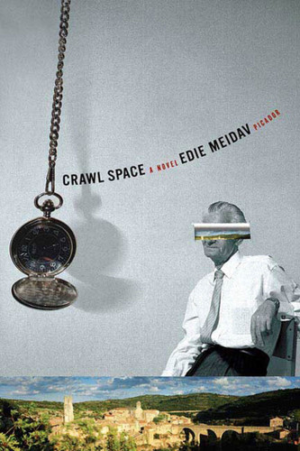 Crawl Space: A Novel book cover by Edie Meidav