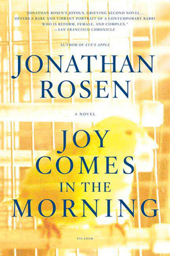 Joy Comes in the Morning: A Novel book cover by Jonathan Rosen