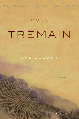 The Colour: A Novel book cover by Rose Tremain