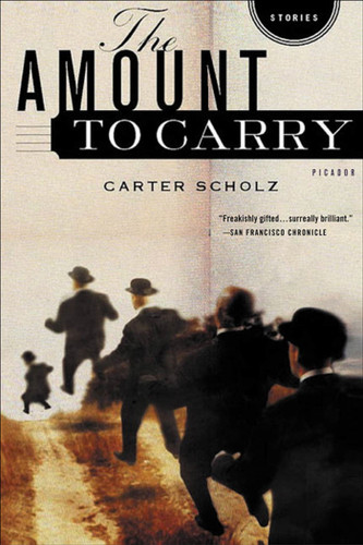 The Amount to Carry: Stories book cover by Carter Scholz