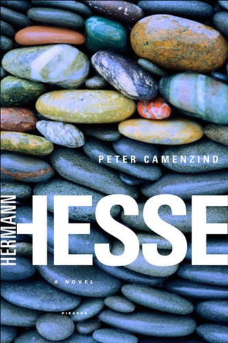 Peter Camenzind: A Novel book cover by Hermann Hesse