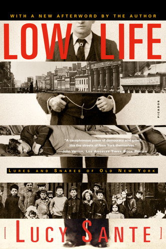 Low Life: Lures and Snares of Old New York book cover by Lucy Sante