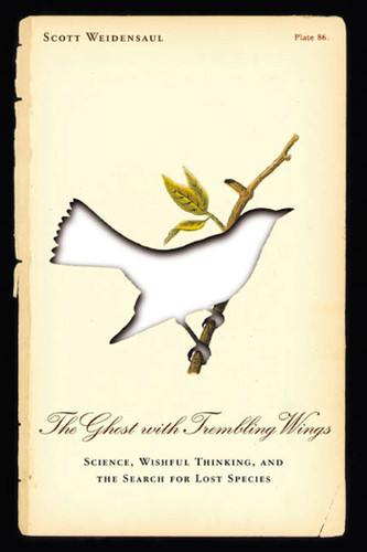 The Ghost with Trembling Wings: Science, Wishful Thinking and the Search for Lost Species book cover by Scott Weidensaul