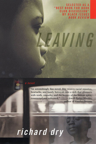 Leaving: A Novel book cover by Richard Dry
