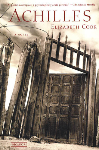Achilles: A Novel book cover by Elizabeth Cook