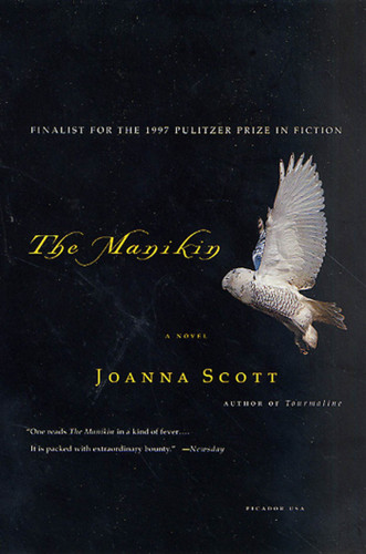The Manikin: A Novel book cover by Joanna Scott