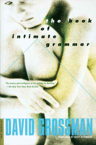 The Book of Intimate Grammar: A Novel book cover by David Grossman