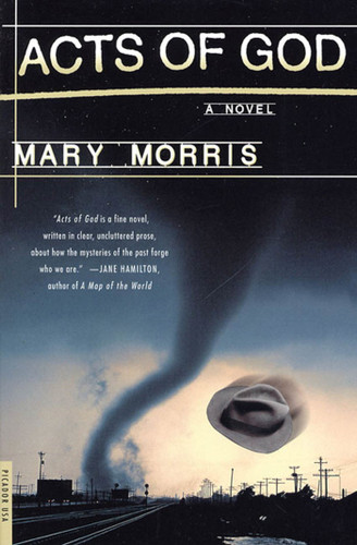 Acts of God: A Novel book cover by Mary Morris