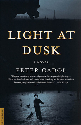 Light at Dusk: A Novel book cover by Peter Gadol