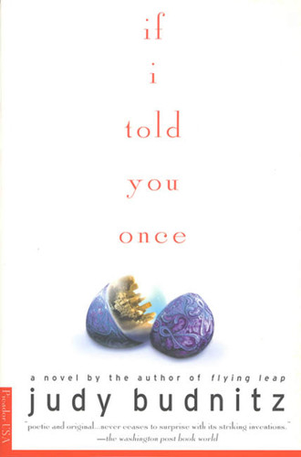 If I Told You Once: A Novel book cover by Judy Budnitz