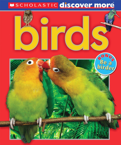 Birds - Cover