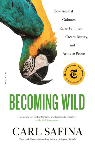 Becoming Wild: How Animal Cultures Raise Families, Create Beauty, and Achieve Peace book cover by Carl Safina