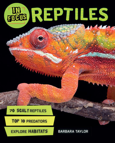 In Focus: Reptiles (In Focus) book cover by Barbara Taylor