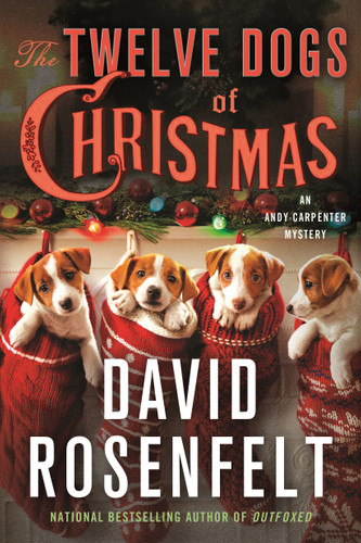 The Twelve Dogs of Christmas: An Andy Carpenter Mystery book cover by David Rosenfelt
