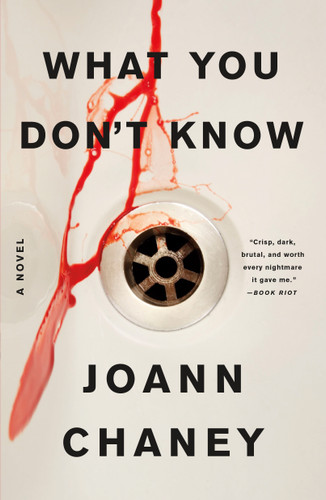 What You Don't Know: A Novel book cover by JoAnn Chaney