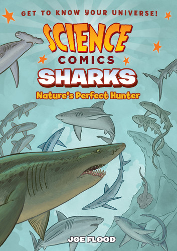 Science Comics: Sharks: Nature's Perfect Hunter (Science Comics) book cover by Joe Flood