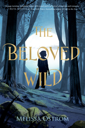 The Beloved Wild book cover by Melissa Ostrom