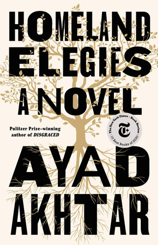 Homeland Elegies - Cover