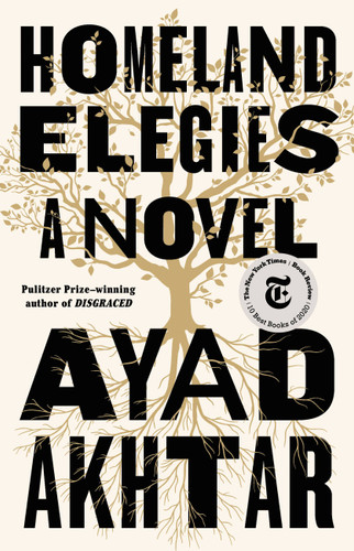 Homeland Elegies: A Novel book cover by Ayad Akhtar