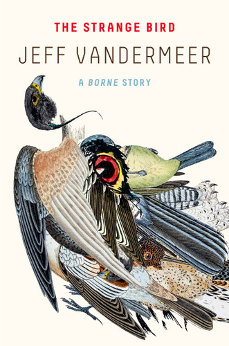 The Strange Bird: A Borne Story book cover by Jeff VanderMeer