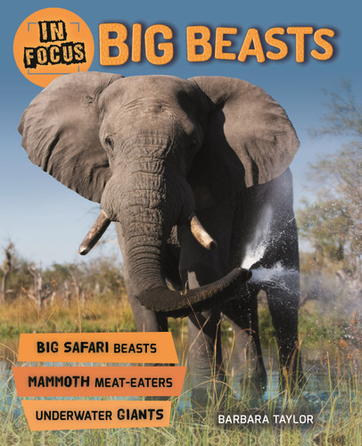 In Focus: Big Beasts (In Focus) book cover by Steve Parker