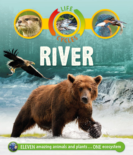 Life Cycles: River (Lifecycles) book cover by Sean Callery