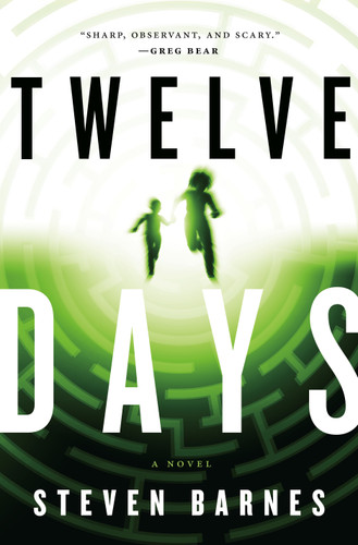 Twelve Days: A Novel book cover by Steven Barnes