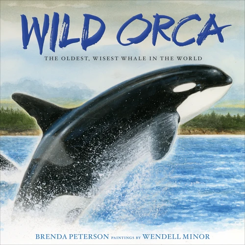Wild Orca: The Oldest, Wisest Whale in the World book cover by Brenda Peterson