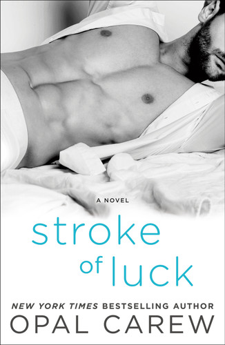 Stroke of Luck: A Novel book cover by Opal Carew