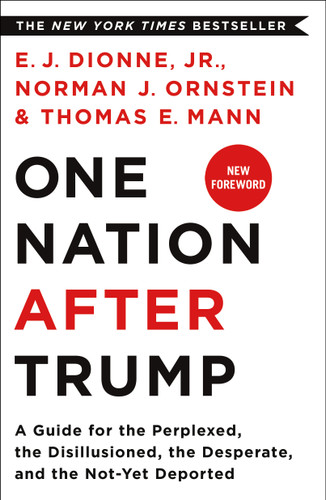 One Nation After Trump: A Guide for the Perplexed, the Disillusioned, the Desperate, and the Not-Yet Deported book cover by E.J. Dionne, Jr., Norman J. Ornstein, Thomas E. Mann