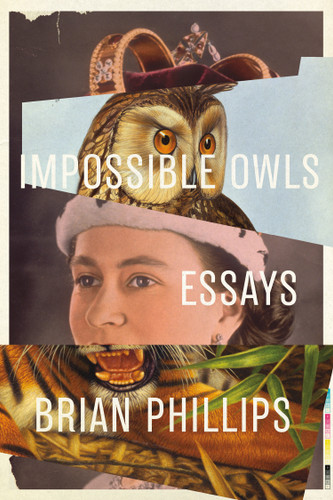 Impossible Owls: Essays book cover by Brian Phillips
