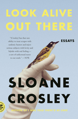 Look Alive Out There: Essays book cover by Sloane Crosley