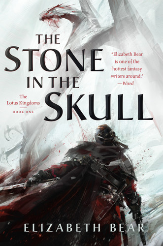The Stone in the Skull: The Lotus Kingdoms, Book One book cover by Elizabeth Bear