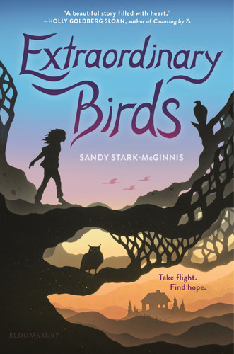 Extraordinary Birds book cover by Sandy Stark-Mcginnis