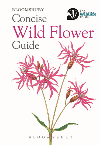 Concise Wild Flower Guide (Concise Guides) book cover by Bloomsbury