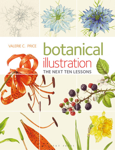 Botanical Illustration: The Next Ten Lessons: Colour and Composition book cover by Valerie Price