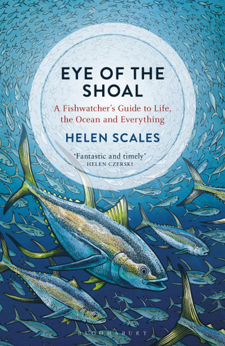 Eye of the Shoal: A Fishwatcher's Guide to Life, the Ocean and Everything book cover by Helen Scales