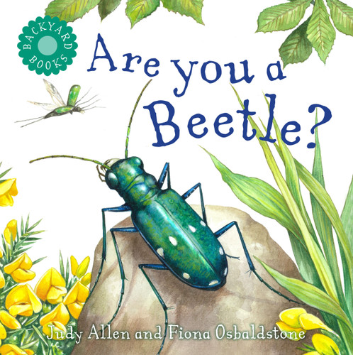 Are You a Beetle? (Backyard Books) book cover by Judy Allen