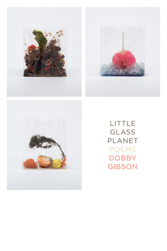 Little Glass Planet: Poems book cover by Dobby Gibson