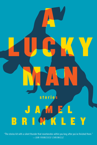 A Lucky Man: Stories book cover by Jamel Brinkley