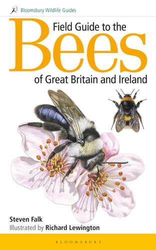 Field Guide to the Bees of Great Britain and Ireland (Bloomsbury Wildlife Guides) book cover by Steven Falk