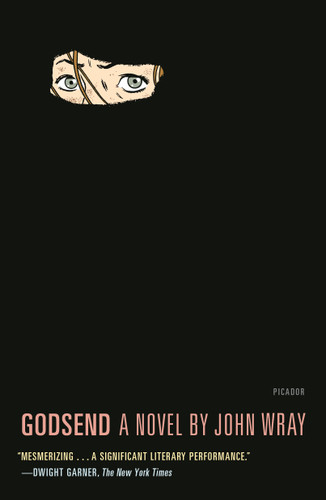 Godsend: A Novel book cover by John Wray